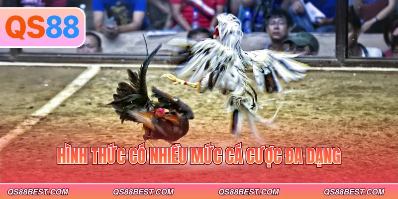 Hình thức có nhiều mức cá cược đa dạng